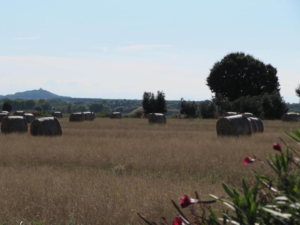Azienda Agrituristica Allumiere Vila Campiglia Marittima Exterior foto