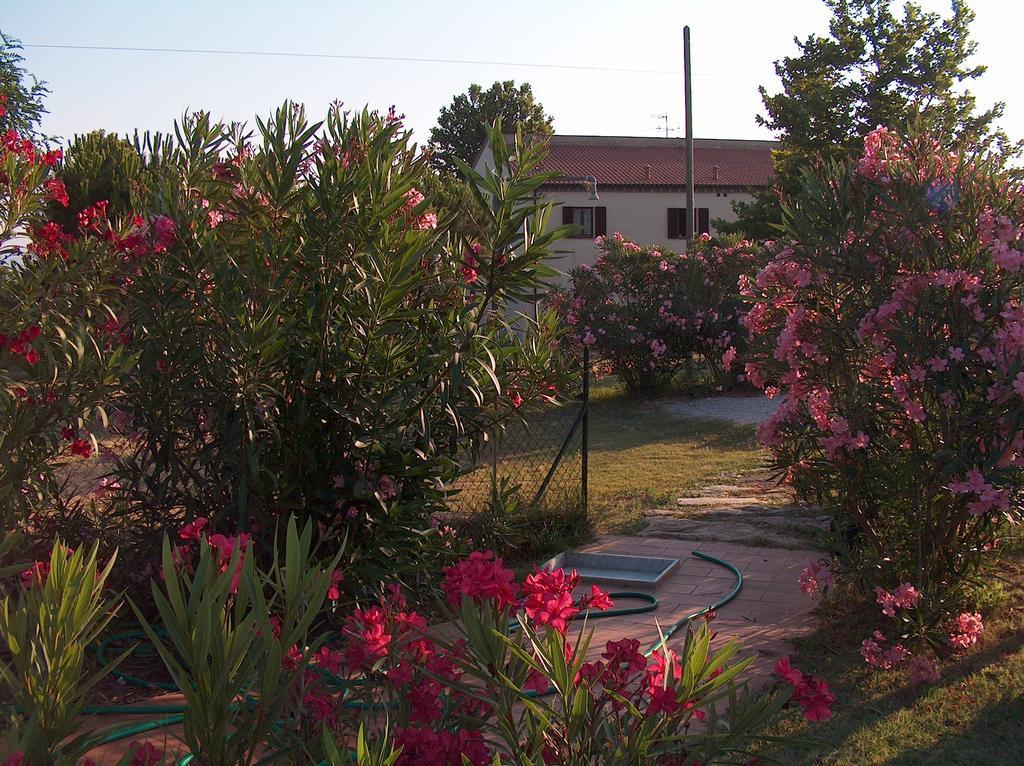 Azienda Agrituristica Allumiere Vila Campiglia Marittima Exterior foto